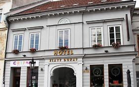 Boutique Hotel Zlaty Dukat